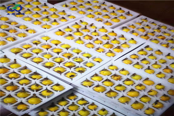 枇杷內(nèi)托定做的材料只有防震的作用嗎？