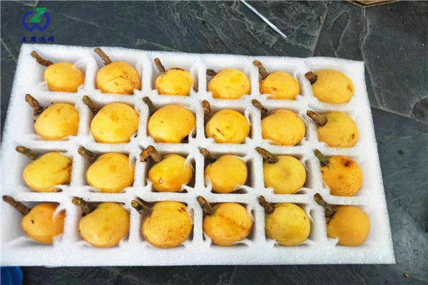 琵琶托or枇杷托，別一不小心就弄混淆了