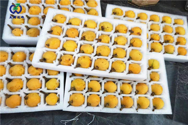 常見(jiàn)的水果內(nèi)托定做材料是什么？